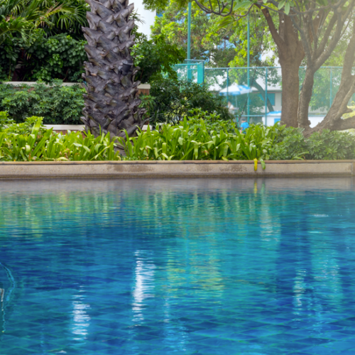 comment-recycler-eau-piscine