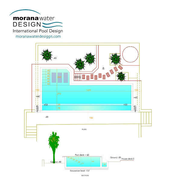 Top view of overflow pool with tanning ledge, garden and steps