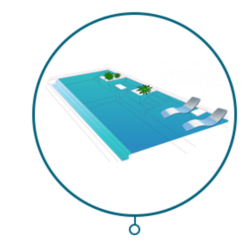 cropped-design-morana